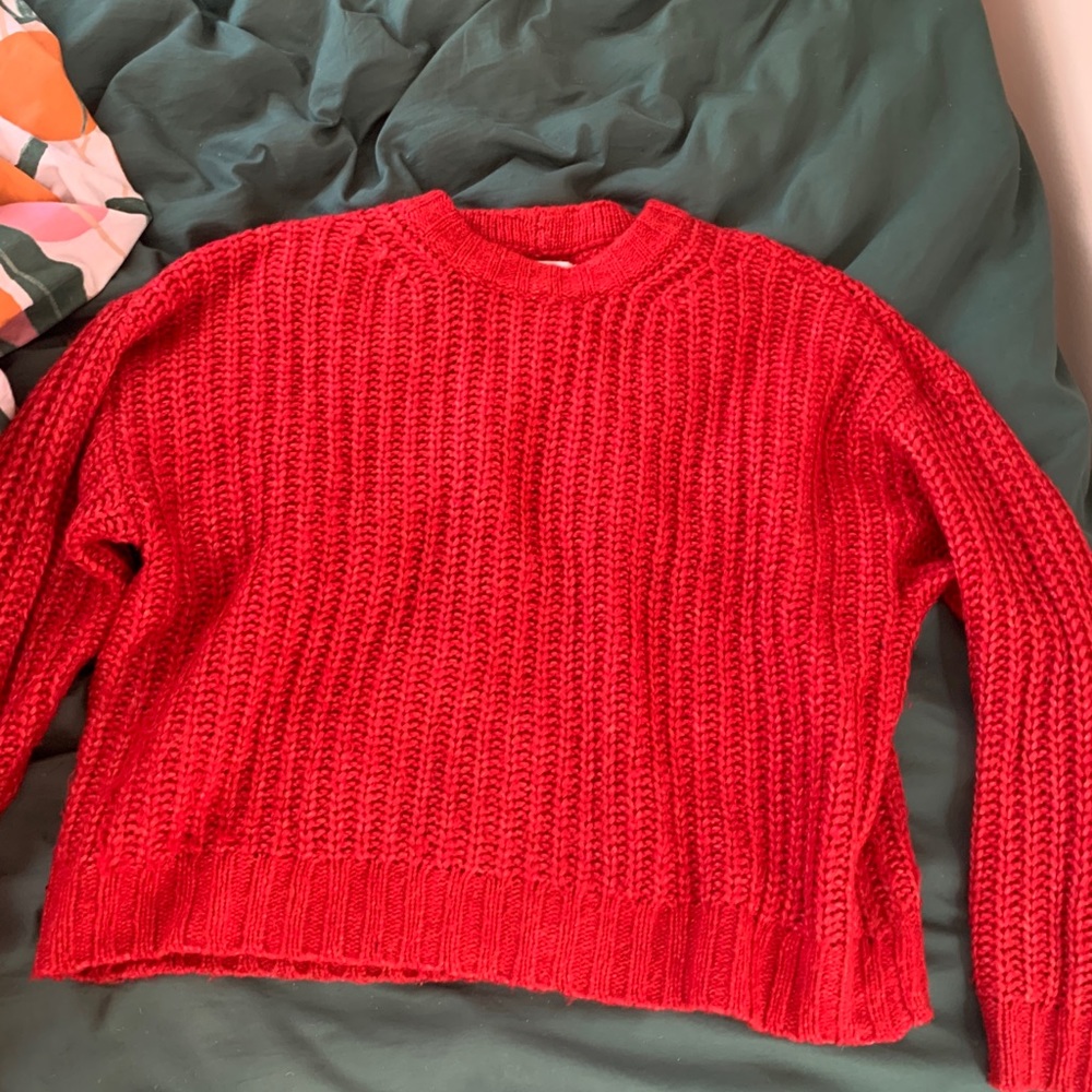 American Eagle Crop Sweater Red M